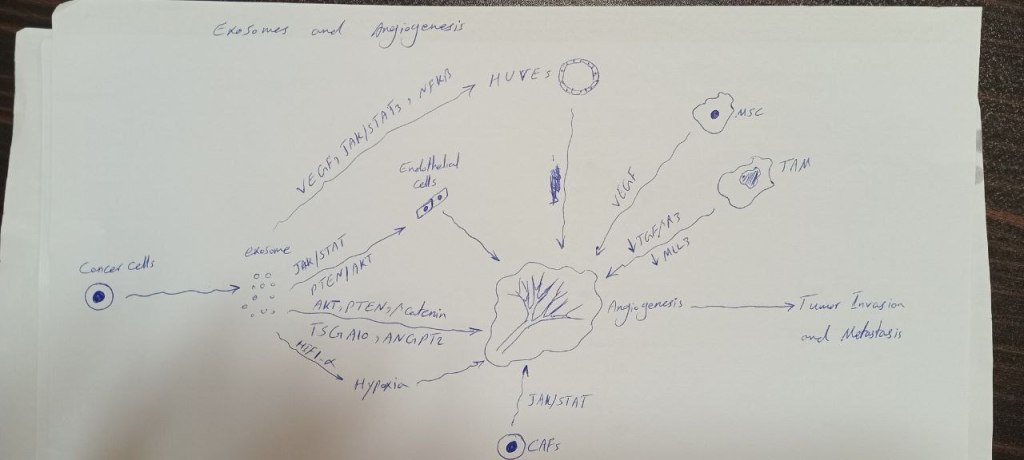 Hand-drawn sketch of metastasis and invasion driven by tumor exosomes