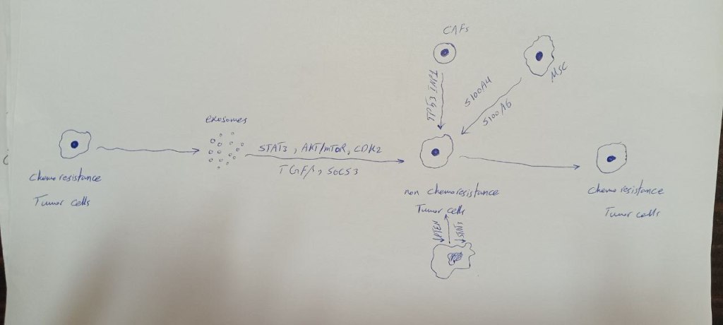 Hand-drawn sketch of chemoresistance driven by tumor exosomes