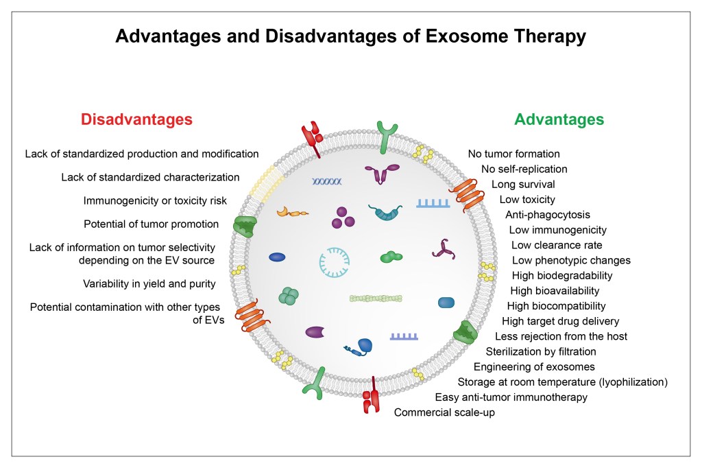 Exosome Therapy: Advantages and&nbsp;Disadvantages