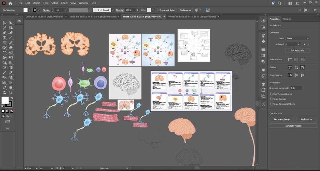 Individual illustrated elements for the stem cell figure, including brains, a spinal cord, neurons and stem cell types, before layout