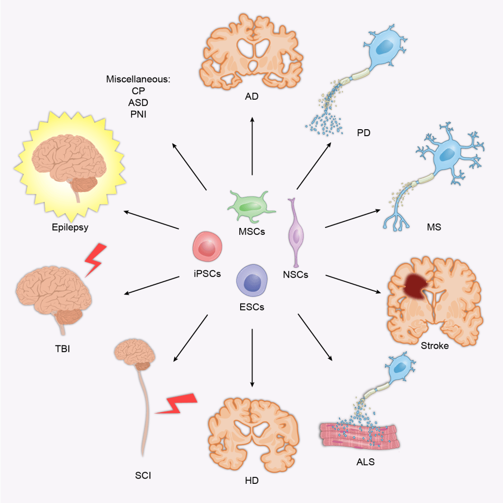 First draft of the stem cell therapy figure with the disease panels arranged in a grid