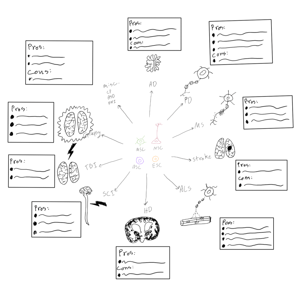 Hand-drawn layout sketch for a stem cell therapy overview, with a grid of panels for different neurological disorders