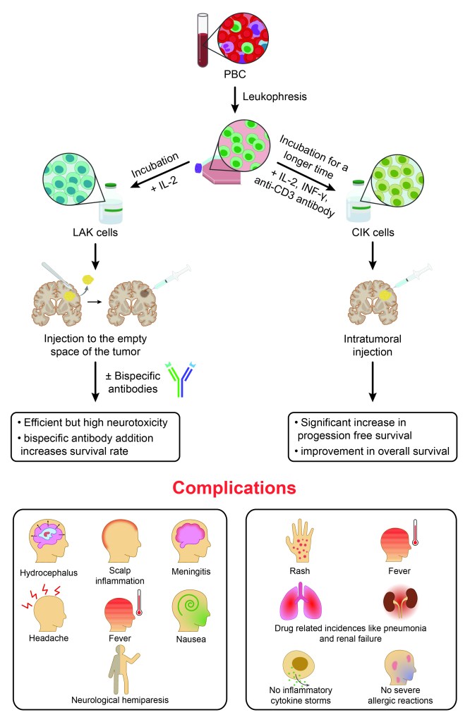 First draft of an illustration showing how LAK and CIK cells are produced from peripheral blood, delivered to glioma, and compared on efficacy and complications