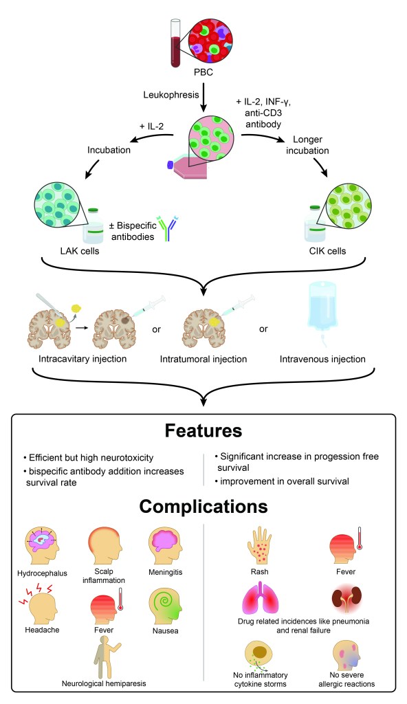 Revised LAK and CIK glioma immunotherapy illustration with a clearer flow from cell production to intracavitary, intratumoral and intravenous delivery, and a features and complications summary