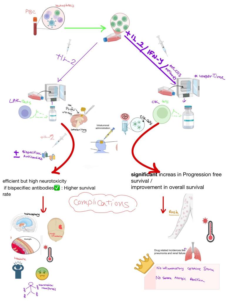 Hand-drawn whiteboard sketch of the LAK and CIK cell therapy workflow for glioma, from blood collection to delivery routes and outcomes